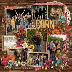 cornmaze_700web.jpg