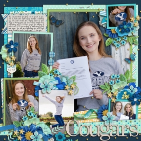 cougars_700web.jpg
