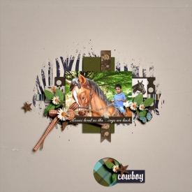 cowboy2.jpg