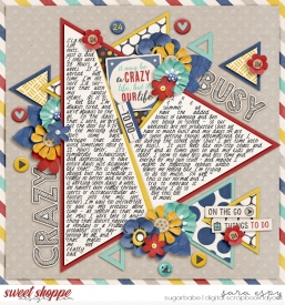 crazy-busy-wm.jpg