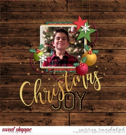 disfordecemberWebWM.jpg