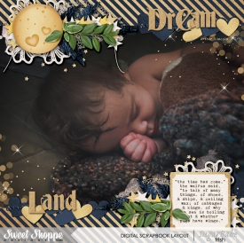 dreamland-ashaw0606b.jpg
