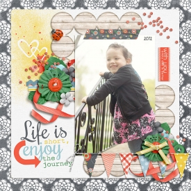 enjoy-the-journey1.jpg