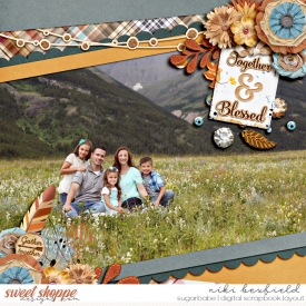 familyblessings_babe.jpg