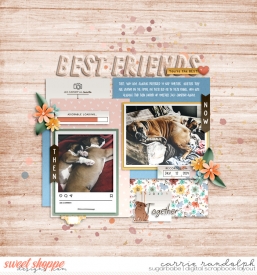 familypetWebWM.jpg