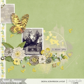 fdd_ffFreeBee124Web.jpg