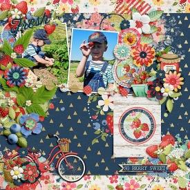 fdd_ffHereandThere_FlergsAmberShaw_BerryPicking.jpg