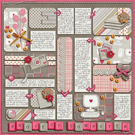 feb-2011-project-computer-WEB.jpg