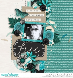 freeWebWM.jpg