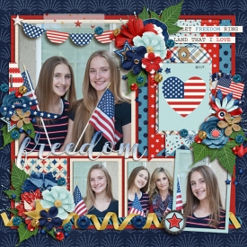 freedom700web.jpg