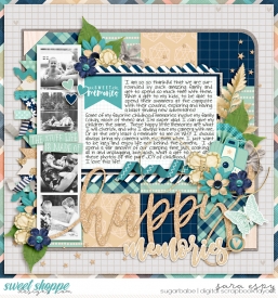 happy-memories-wm.jpg