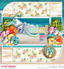hawaii2023-00-cover.jpg