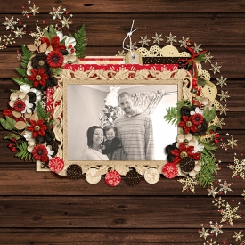 hollyxann_Christmas2013_web.jpg