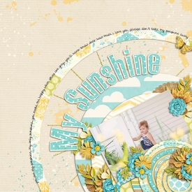 hollyxann_mysunshine_web.jpg