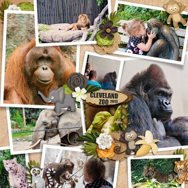 hollyxann_zoo_web.jpg