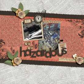 it-is-hazardous.jpg