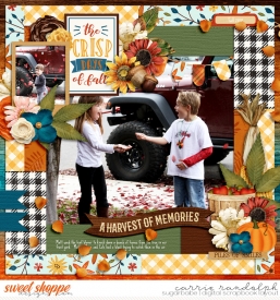 labelfall_HP269_hhWebWM.jpg