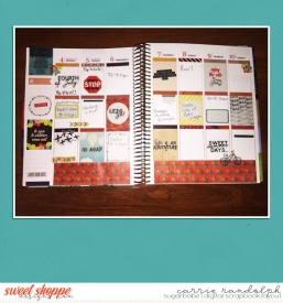 lifestoriesjuly_plannerWebWM.jpg