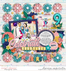 ljs-iybday-cschneider-allinonesingle2-FD-ssd.jpg
