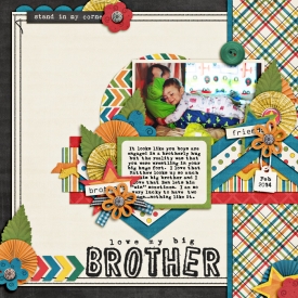 love-my-brother.jpg