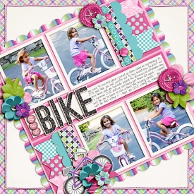 may-2012-new-bike-WEB.jpg