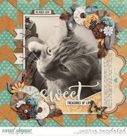 memorykeeper-set237WebWM.jpg