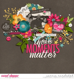 momentsthatmatterWebWM.jpg