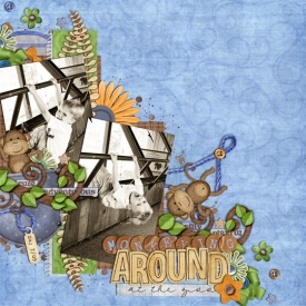 monkeying-aroundweb.jpg
