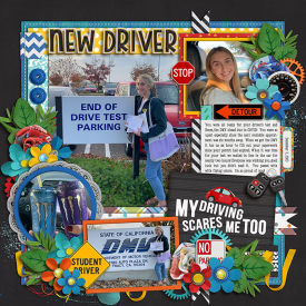newdriver_700web.jpg