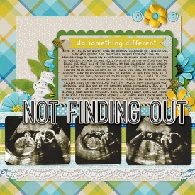 notfindingout-SBC406.jpg
