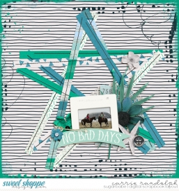 piecebypiece11WebWM.jpg