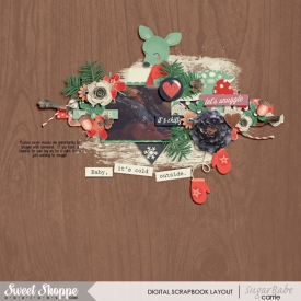 piecesofautumn3WebWM.jpg