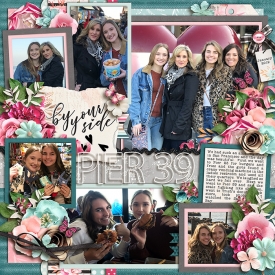 pier39_700web1.jpg