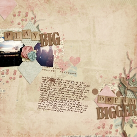 play-big-dream-bigger.jpg