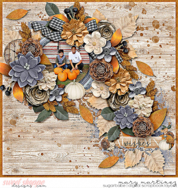 pp-marnel-mcreations-fallsweetfall.jpg