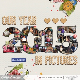 review2015WebWM.jpg