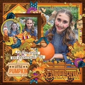 scarecrow_700web.jpg
