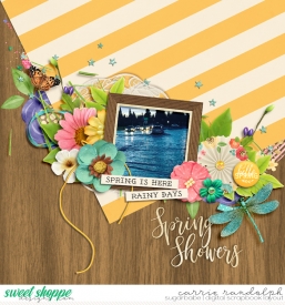 scrapyourstories-springWebWM.jpg