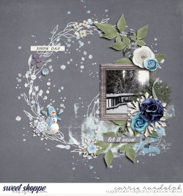 scrapyourstories-winterWebWM.jpg
