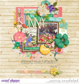 scrapyourstories_springWebWM.jpg