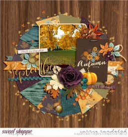 scrapyourstoriesfallWebWM.jpg