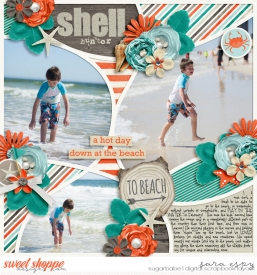 shell-hunter-wm.jpg