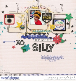 sillypicsWebWM.jpg