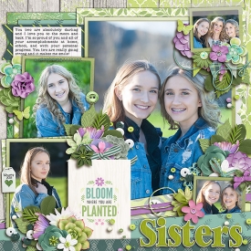 sisters_700web1.jpg