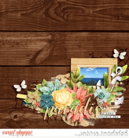 sm-attheshoreWebWM.jpg