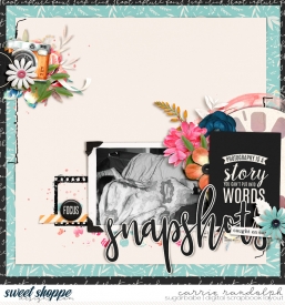snapshots-photographedWebWM.jpg