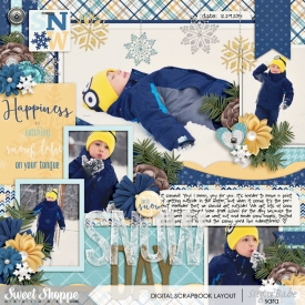 snow-day-copywm.jpg