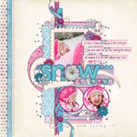snowcoveredweb.jpg