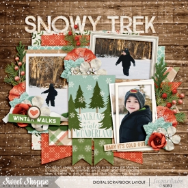 snowy-trekwm.jpg