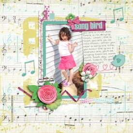 song-bird.jpg